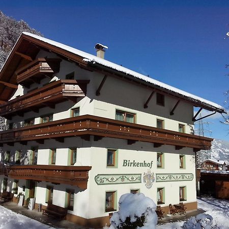 Pension Birkenhof Mayrhofen Eksteriør billede
