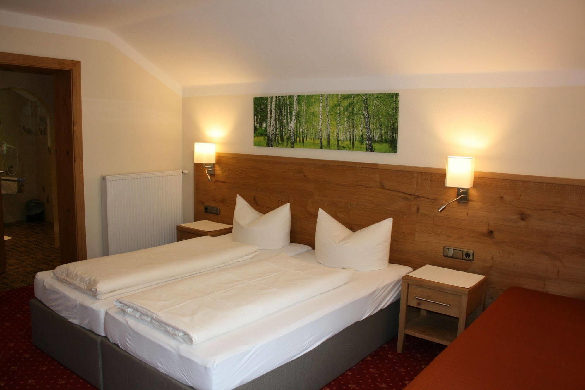 Pension Birkenhof Mayrhofen Eksteriør billede
