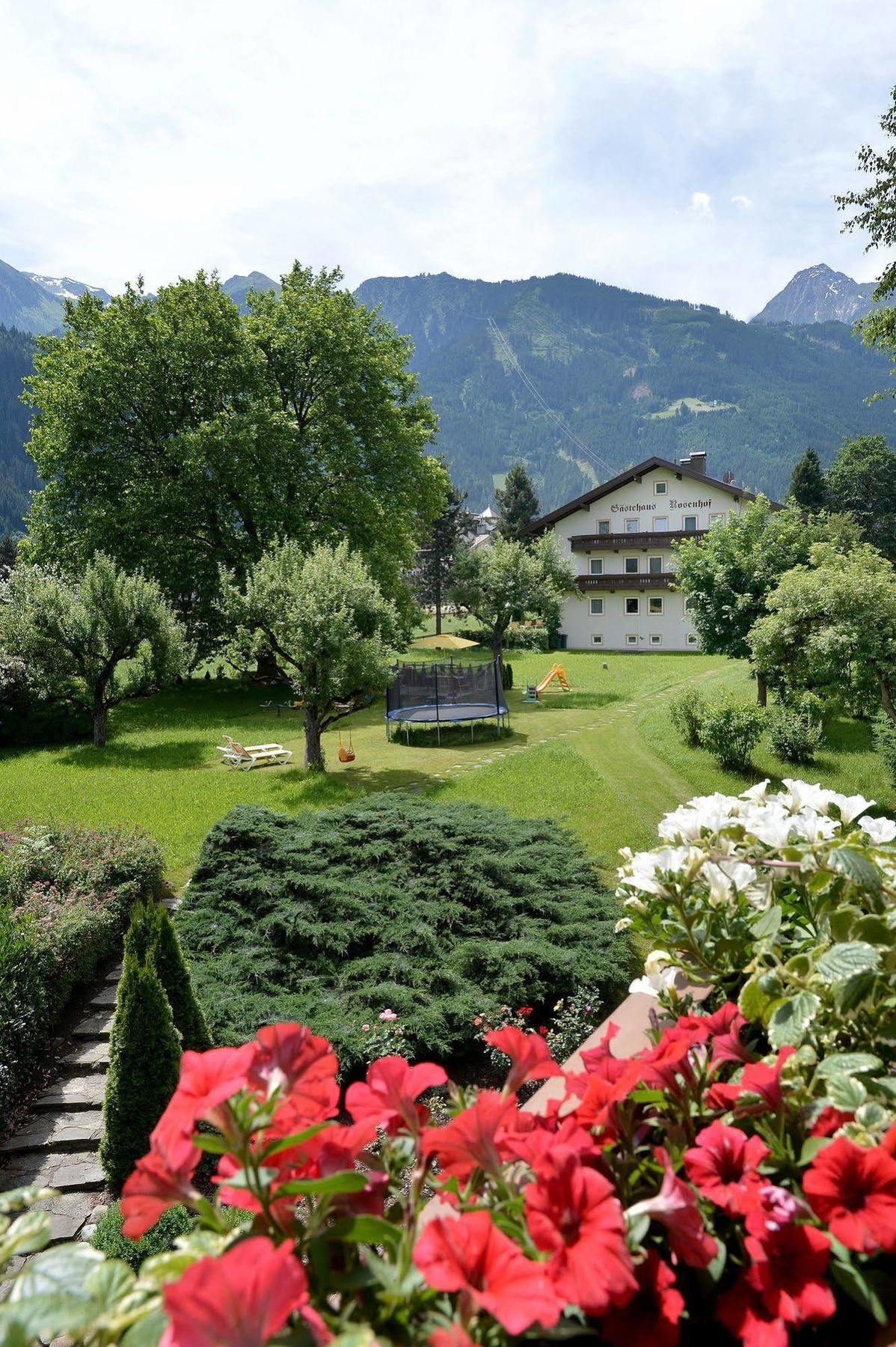 Pension Birkenhof Mayrhofen Eksteriør billede